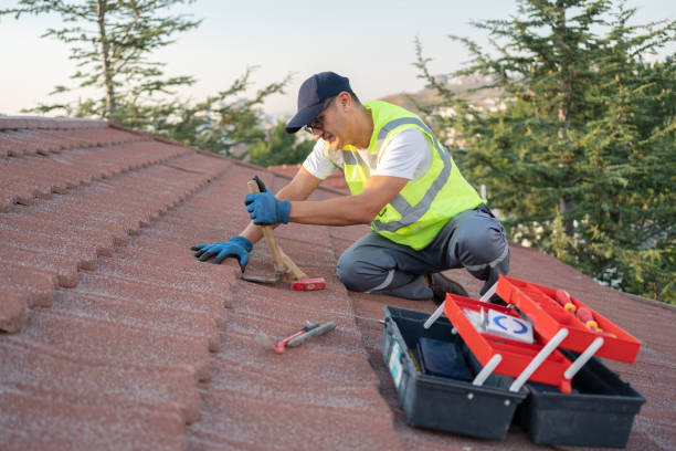 Residential Roof Replacement in Bonanza, GA