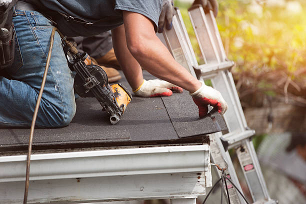 Best Gutter Installation and Roofing  in Bonanza, GA